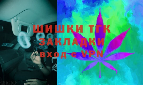 соль ск Алексин